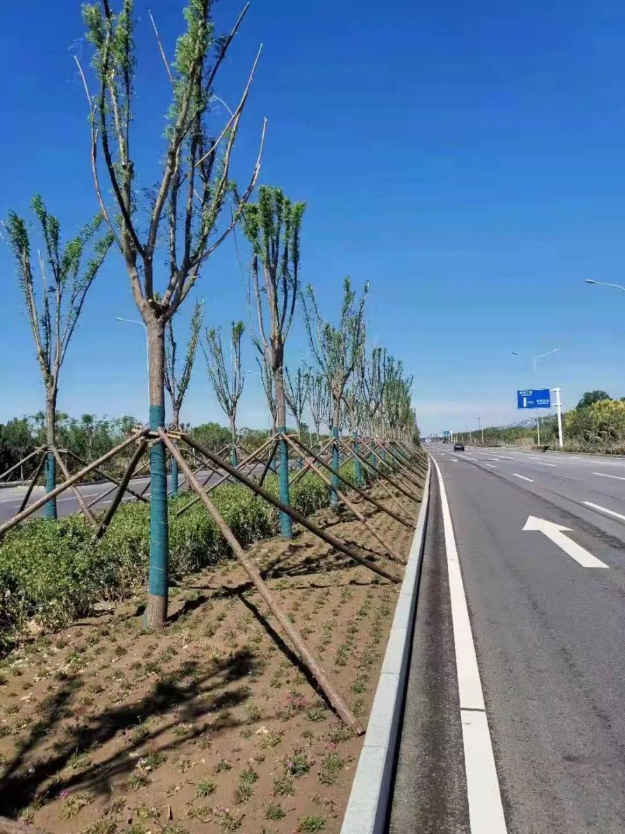 ob欧宝电竞·(中国)官方网站入口