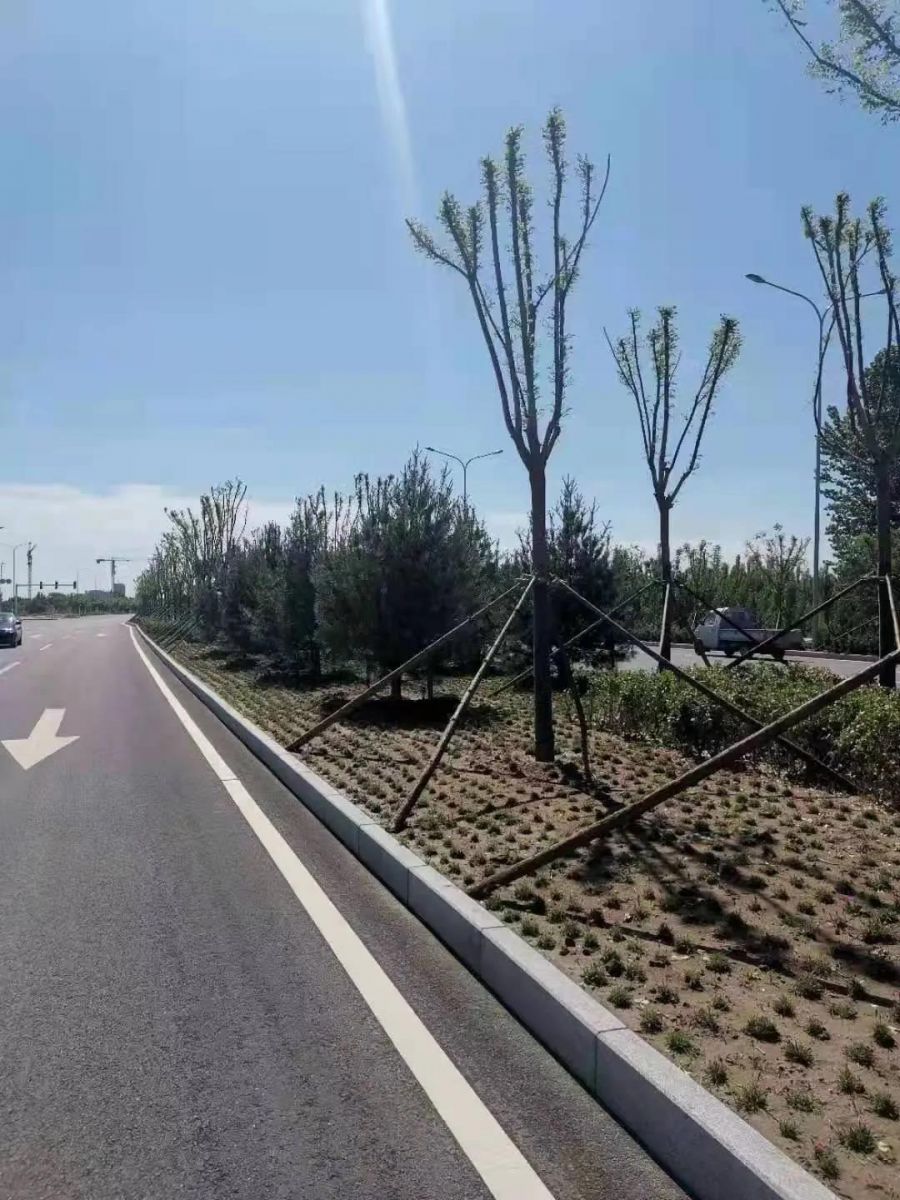 ob欧宝电竞·(中国)官方网站入口